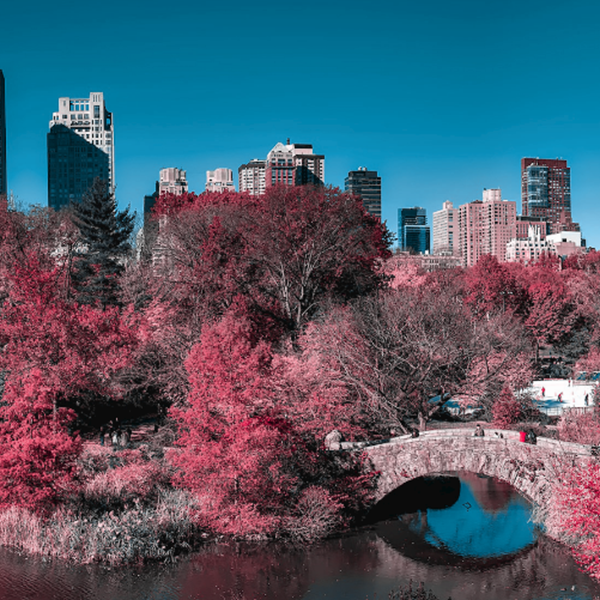 Έτσι μοιάζει ο κόσμος όταν έχεις δυσχρωματοψία