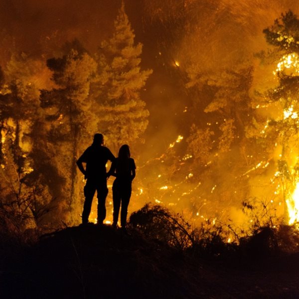 Τι προβλέπει το πακέτο μέτρων στήριξης για τους πυρόπληκτους