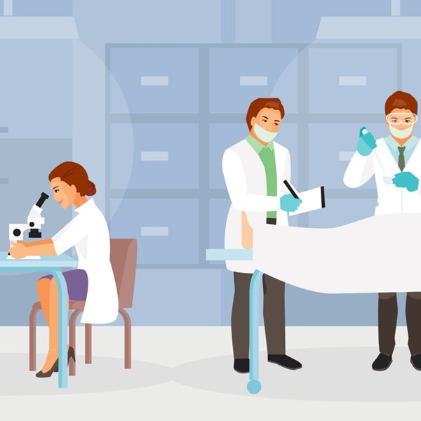 Oι καλύτεροι βοηθοί των ιατροδικαστών δεν είναι άνθρωποι