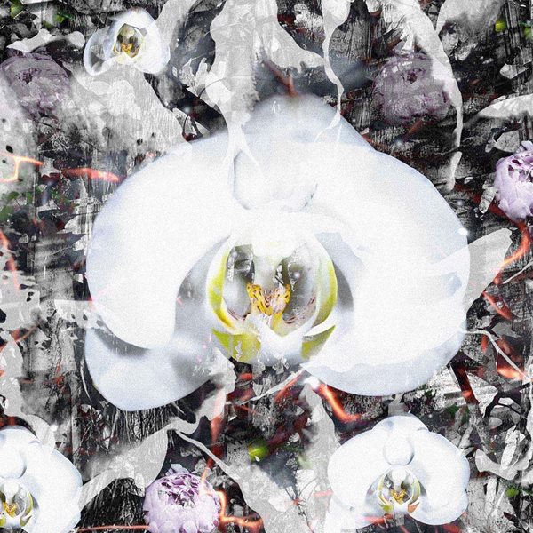 Ο εικαστικός Κώστας Πηγαδάς γεφυρώνει επιστήμη και τέχνη