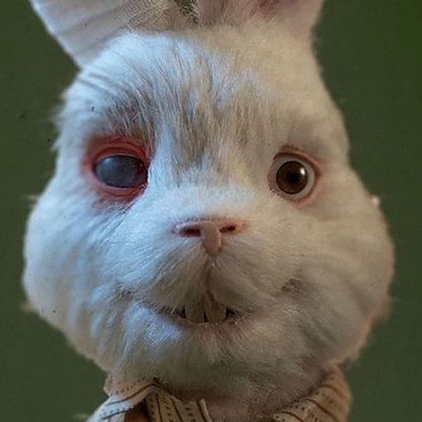 Save Ralph, η νέα απρόβλεπτη ταινία του Taika Waititi