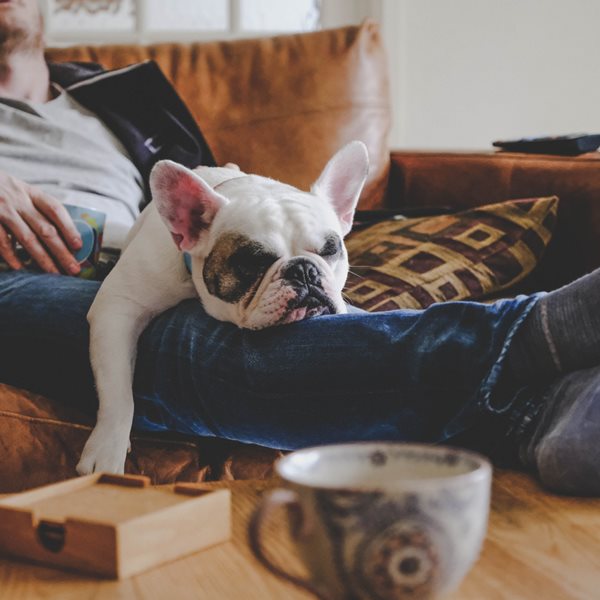 Friluftsliv, η νέα τάση στο ευ ζην