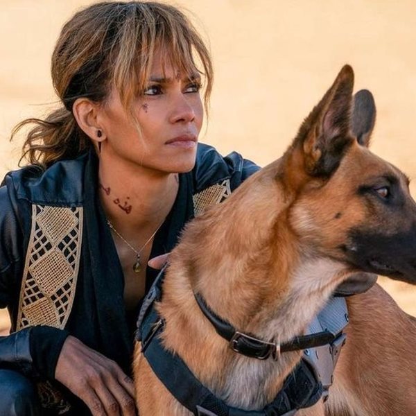 Πόσο ακριβείς είναι οι σκυλομαχίες στο John Wick 3 ;