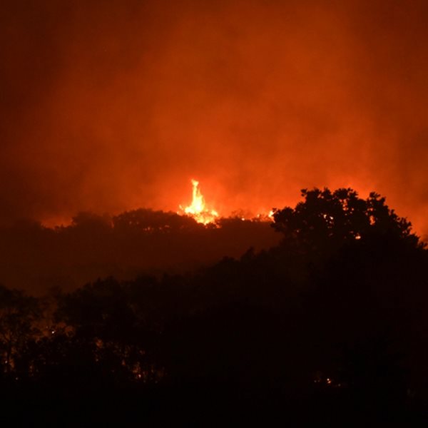 Συνεχίζεται η μάχη με τις φλόγες στην Αλεξανδρούπολη για τρίτη ημέρα