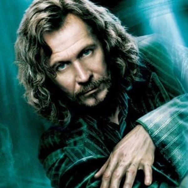 Ο Gary Oldman πιστεύει ότι η ερμηνεία του στις ταινίες Harry Potter ήταν 'μέτρια'