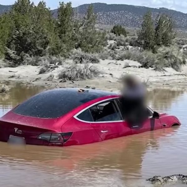 Σε άλλα νέα, αυτόνομο Tesla Model 3 έπεσε σε λίμνη