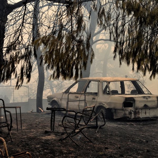 Έκκληση βοήθειας για πληγέντες: Χρήσιμα τηλέφωνα για στέγη, σίτιση και φροντίδα ζώων