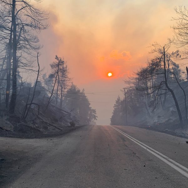 Ρεκόρ καταστροφών από πυρκαγιές τον Ιούλιο σε όλο τον κόσμο