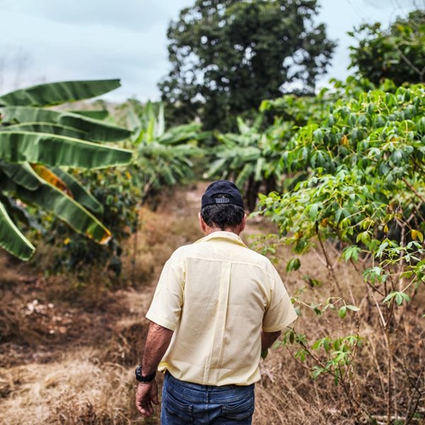 Ο νέος καφές της Nespresso έρχεται από τα Νησιά Γκαλαπάγκος