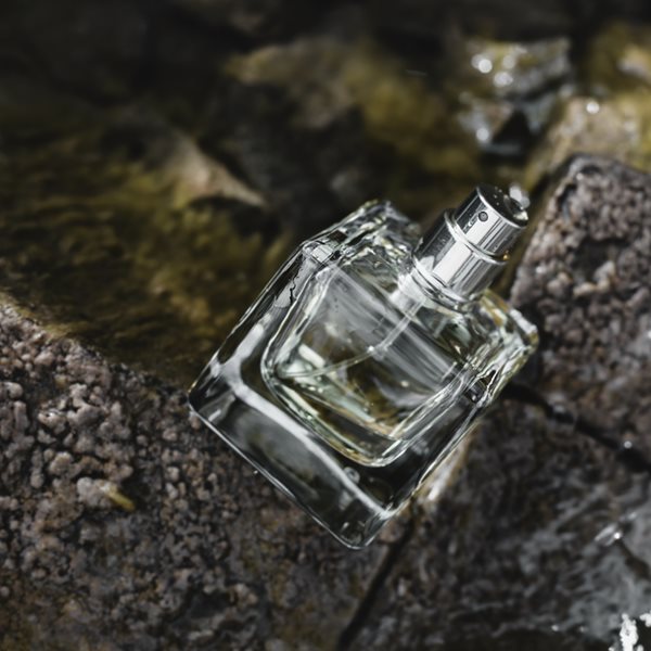 Τα ξυλώδη αρώματα του φετινού χειμώνα