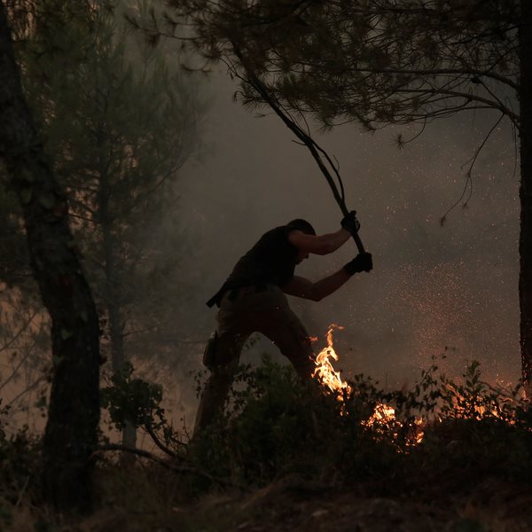 Οι επίσημοι φορείς που συγκεντρώνουν είδη ανάγκης για πυρόπληκτους