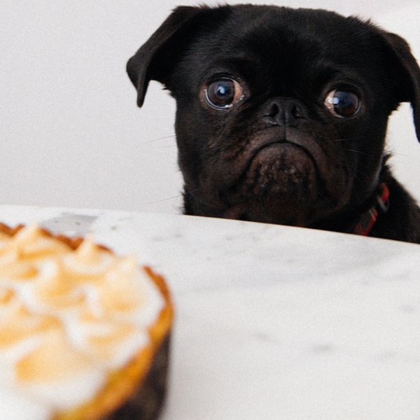 Η νηστεία που όλοι πρέπει να ακολουθήσουμε