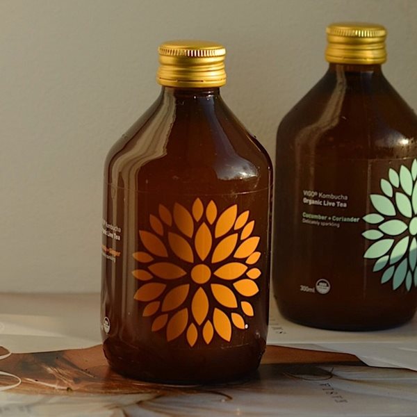 Κομπούτσα, ο μύκητας που όλοι θέλουν να δοκιμάσουν