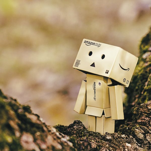 O θαυμαστός καινούργιος κόσμος της Amazon