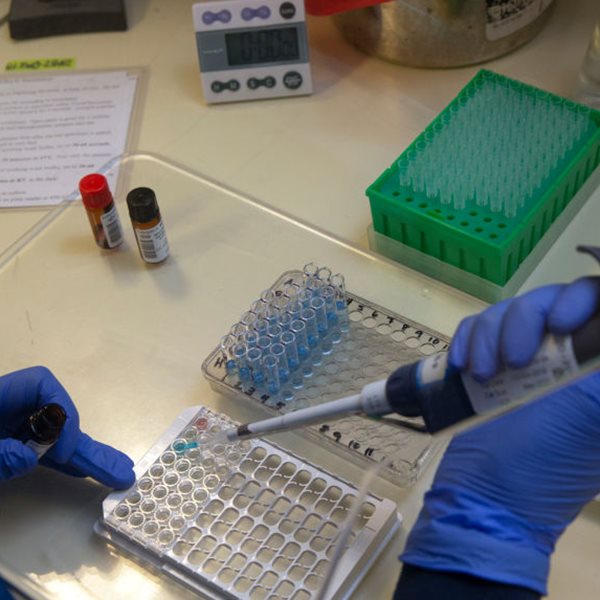 Τι γνωρίζουμε για τη μετάλλαξη του κορονοϊού