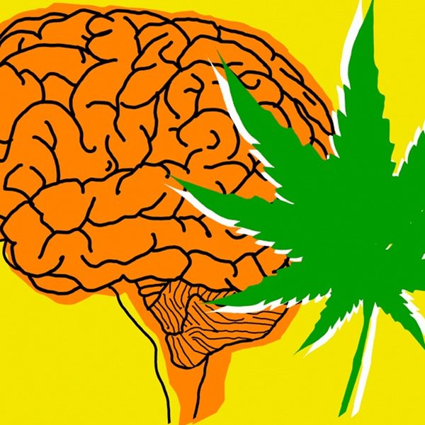 Όσα πρέπει να γνωρίζεις για την κάνναβη