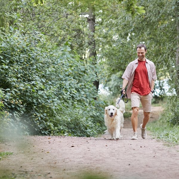 Καλό θα είναι να προσέχεις διπλά όταν μαζεύεις τα κακά του σκύλου σου