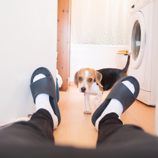 Πώς μπορείς να κάνεις το σπίτι σου να φαίνεται μεγαλύτερο