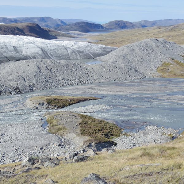 Σε άλλα νέα, η Γροιλανδία ανθίζει