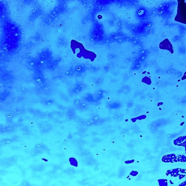 Σε άλλα νέα, μόλις ανακαλύψαμε 5.000 νέους θαλάσσιους ιούς