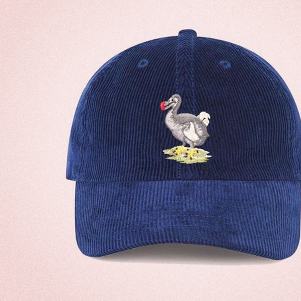 Τα καπέλα που θα σου κάνουν σκιά αυτό το καλοκαίρι