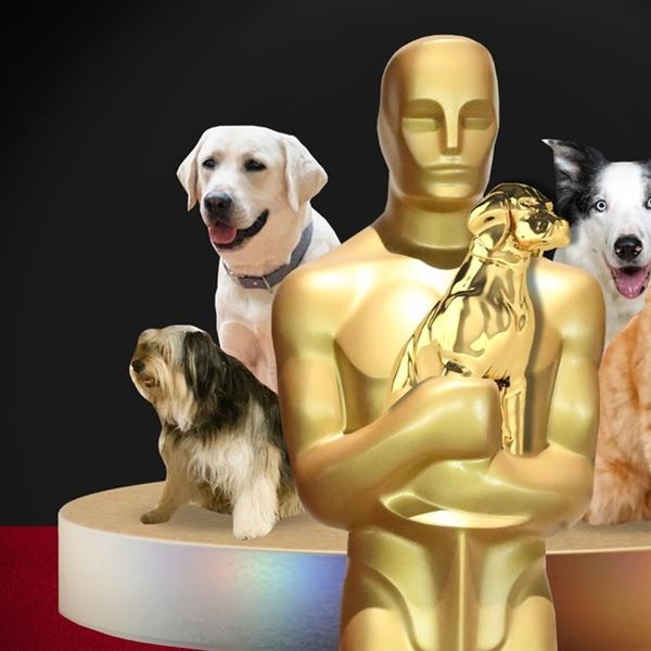 Τετράποδοι και μη, πρωταγωνιστές που αξίζουν βραβείο Όσκαρ