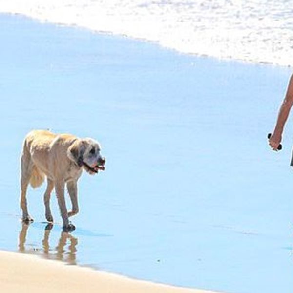 Ο πατέρας του Chris Hemsworth παραμένει 'φέτες' στα 66 του