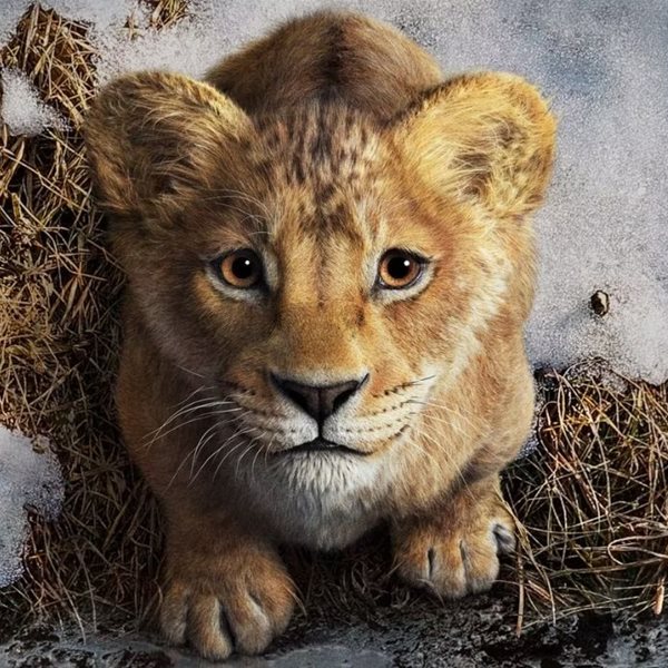 Στο νέο trailer για το Mufasa: The Lion King επιστρέφουν αγαπημένοι χαρακτήρες