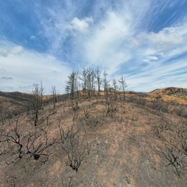 Έχουμε 'χαλάσει' τόσο το κλίμα που και η έλλειψη ατμοσφαιρικής ρύπανσης είναι πρόβλημα