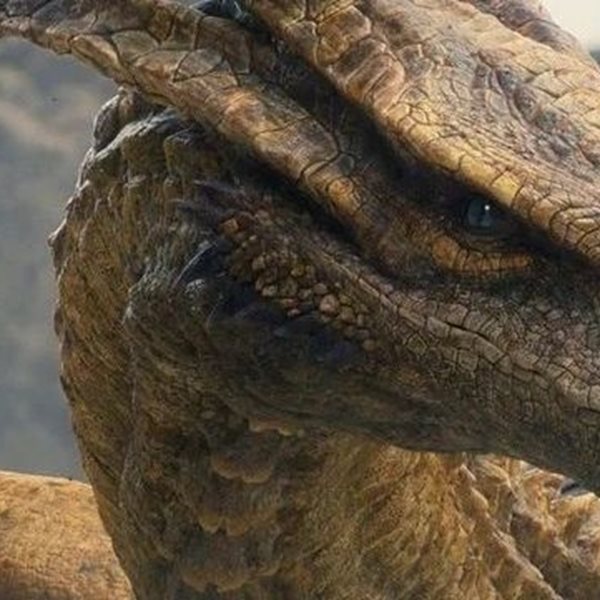 Όλοι οι δράκοι του House of the Dragon