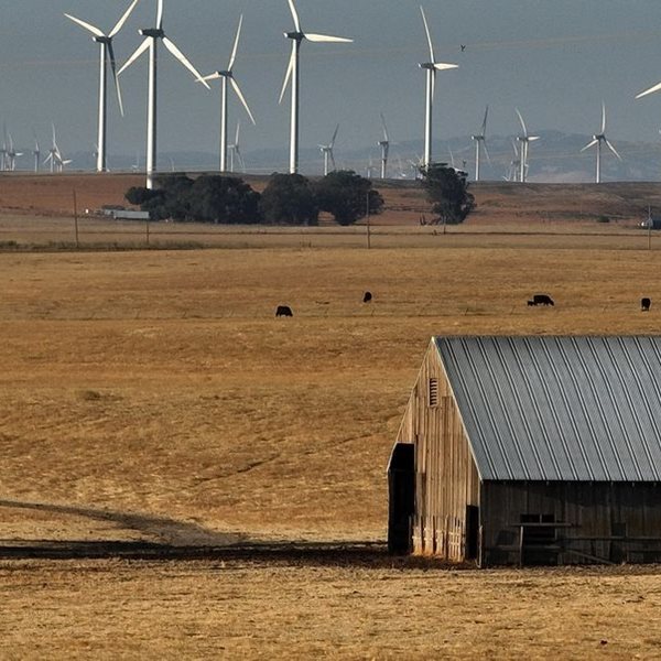 Μία νέα πόλη γεννιέται, αλλά κατοικείται μόνο από υπερπλούσιους