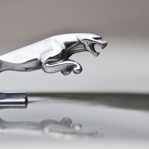 H στιγμή που πλήθος ανθρώπων βάζει φωτιά σε αυτόνομη Jaguar