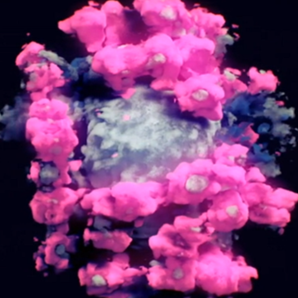 Η πρώτη πραγματική φωτογραφία του κορονοϊού