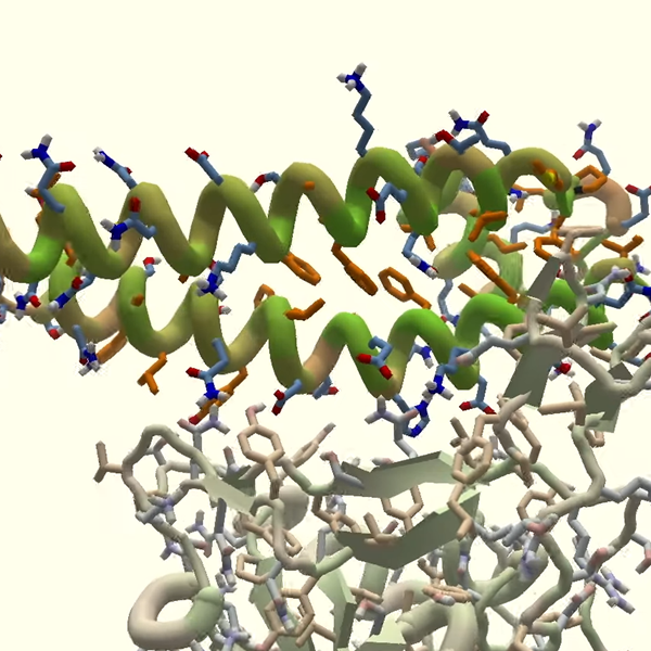 Το video game που ψάχνει τη θεραπεία για τον κοροναϊό