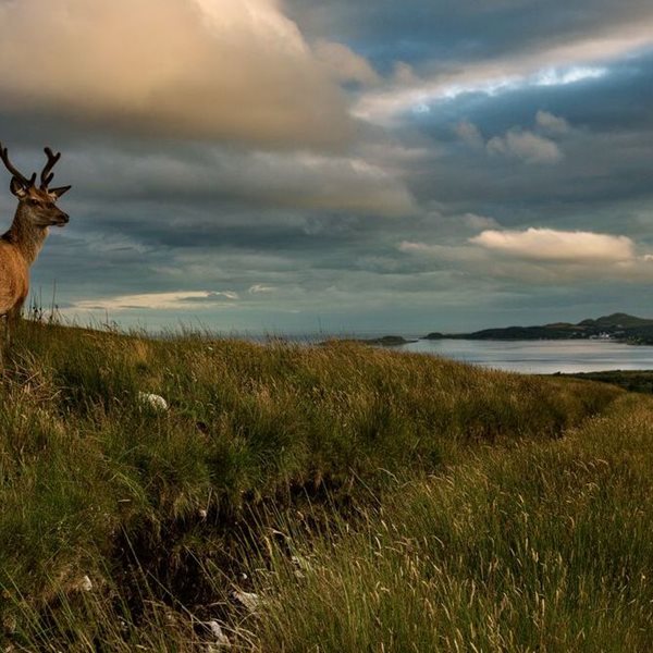 Στο σκωτσέζικο νησί Jura τα πάντα περιστρέφονται γύρω από το ουίσκι