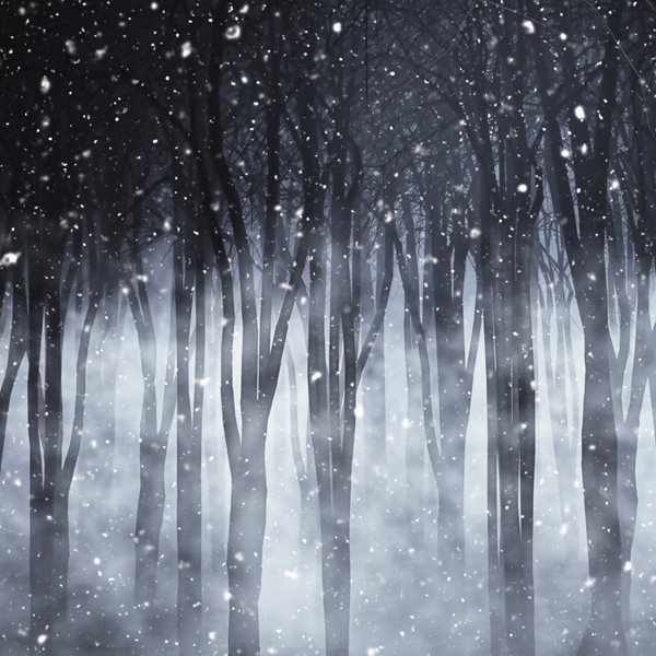 Ακόμη και τα Χριστούγεννα, γίνονται εγκλήματα