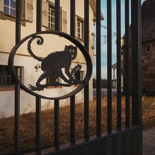 Monkey 47: Το μυστικό του Μέλανα Δρυμού