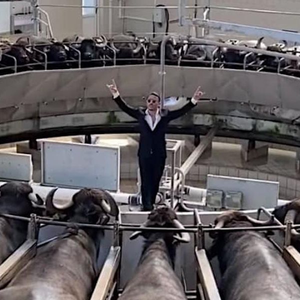 Ο τρόπος που το κρέας φτάνει μέχρι το τραπέζι μας δείχνει τι άνθρωποι είμαστε