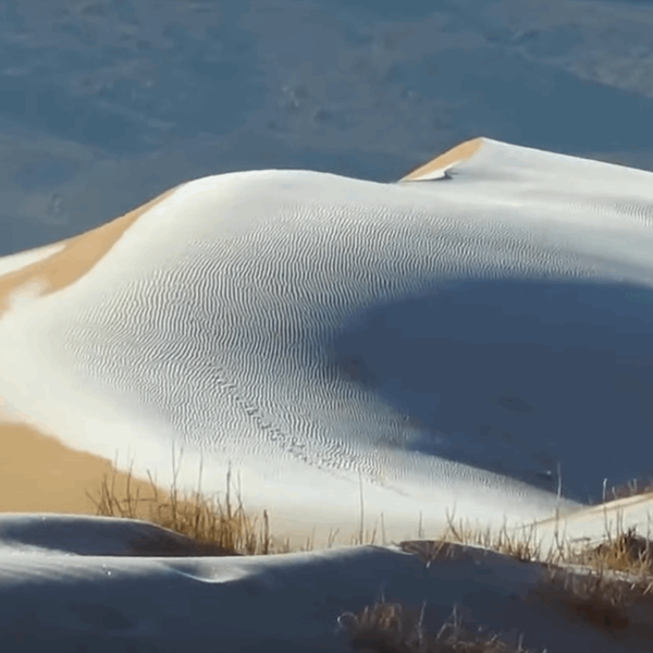 Το χιόνι σκέπασε την έρημο Σαχάρα