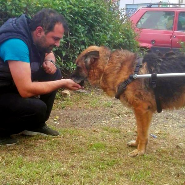 Ο Βασίλης Τζιγκούρας έχει φτιάξει πάνω από 1.200 αναπηρικά αμαξίδια για ζώα