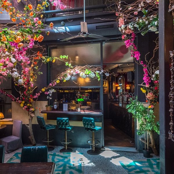 Το Noel επέστρεψε, πιο ανθισμένο από ποτέ