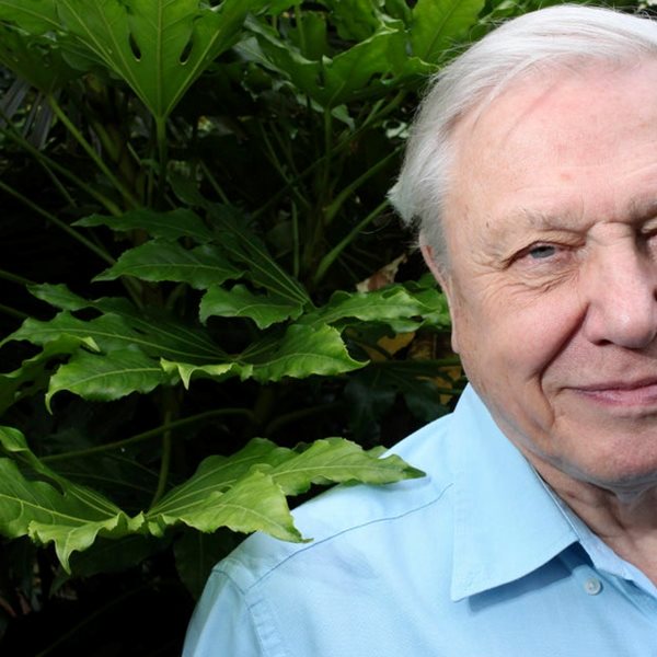 O David Attenborough είναι αισιόδοξος για το περιβάλλον