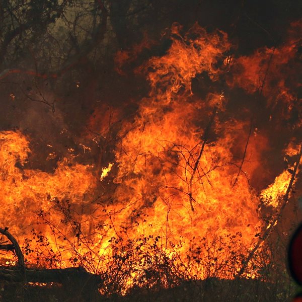 O Aμαζόνιος φλέγεται