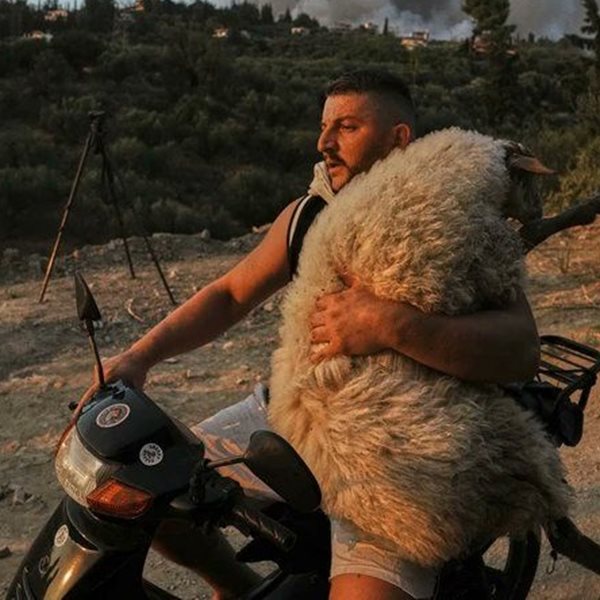 H viral φωτογραφία του 33χρονου που σώζει το πρόβατο πάνω στο μηχανάκι