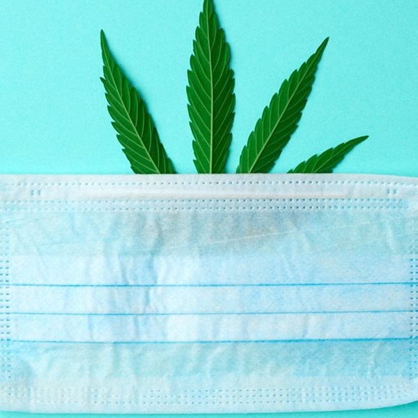 Kάνναβη εναντίον κορονοϊού