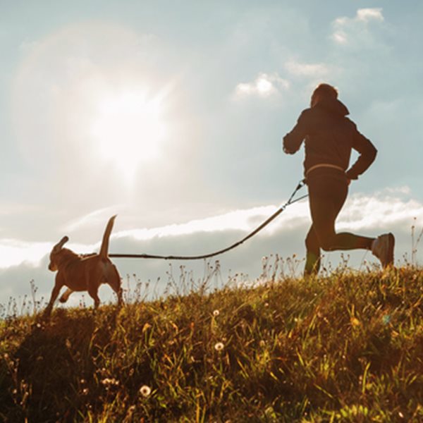 To Canicross είναι η καλύτερη προπόνηση για σένα και τον σκύλο σου