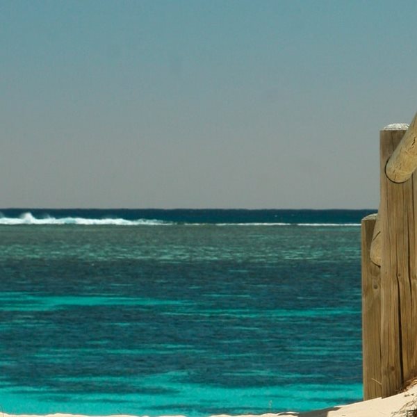 5 θαυμάσιες ελεύθερες παραλίες της Αττικής