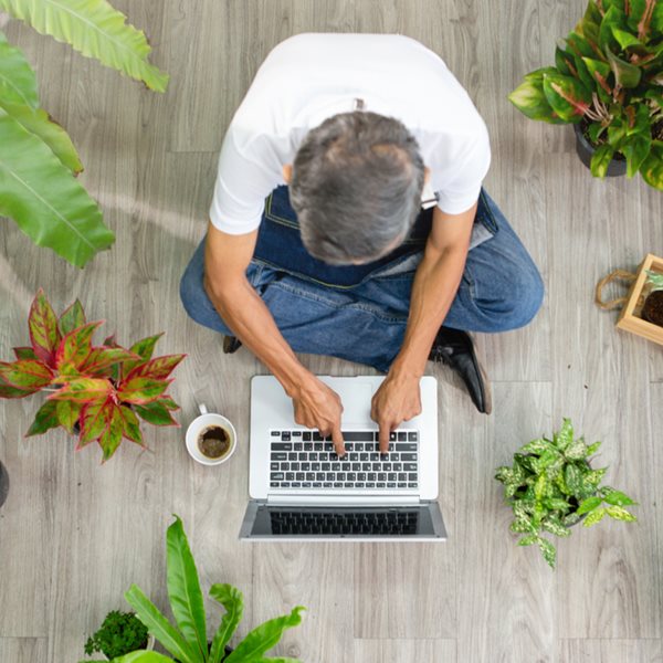 Γιατί πρέπει να βάλεις περισσότερα φυτά στο σπίτι σου