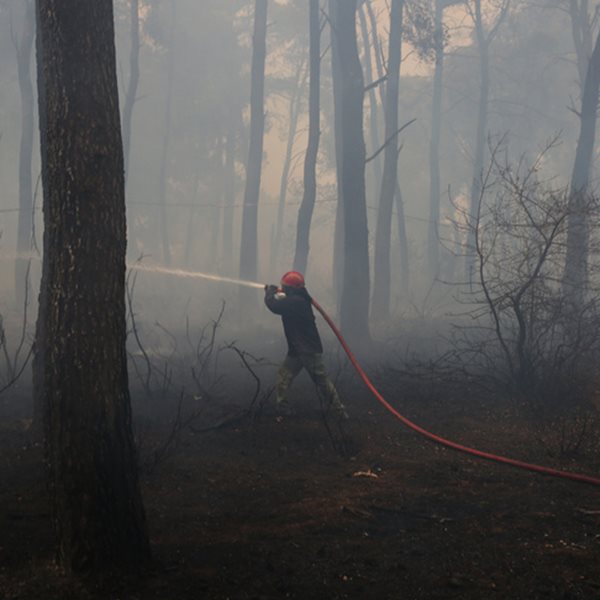 Σε εξέλιξη 56 πυρκαγιές στην Ελλάδα