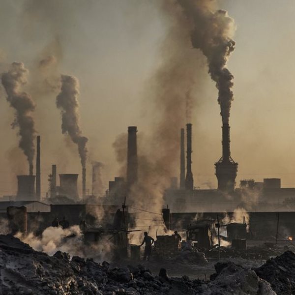 Ποια πανδημία; Οι 'περιβαλλοντικές' ζώνες θυσίας είναι το πρόβλημα